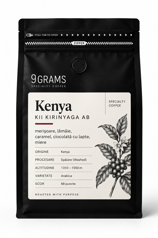 KENYA Kirinyaga Kiandu AB Top