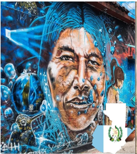 GUATEMALA Finca Pampojila