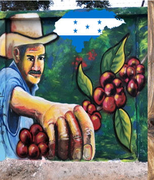 Honduras Siguatepeque Los Geranios